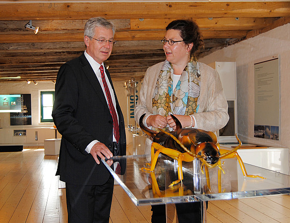 Ein Ohrenkneifer als Vorbild im modernen Schiffbau - Ausstellungsleiterin Christina Voigt führte Bürgermeister Jens Böhrnsen durch das Spicarium