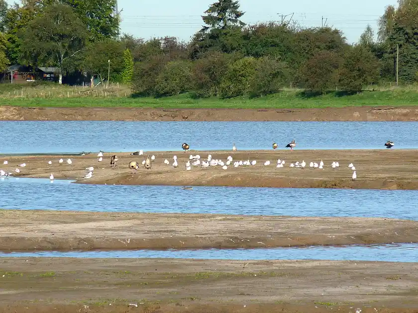 Eine der Ausgleichsflächen in Hemelingen