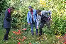 Wolfgang Rohde, Gärtnermeister Werkstatt Bremen, und Martin Rode, Geschäftsführer BUND, zeigen Dr. Diana Wehlau, Referatsleiterin beim Senator für Umwelt, Bau und Verkehr, einen 'Ort der biologischen Vielfalt' auf dem Werksgelände