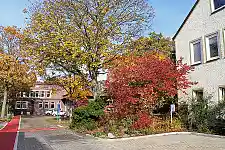 Das naturnahe Werksgelände der Werkstatt Bremen am Buntentorsteinweg