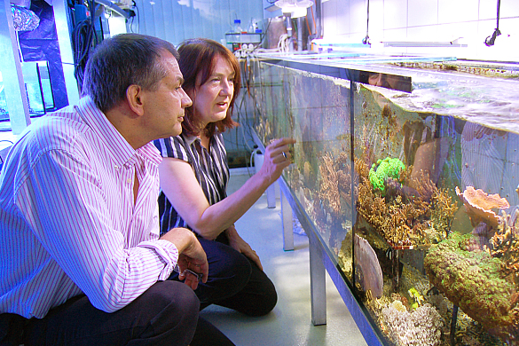 Dr. Andreas Kunzmann zeigt Bürgermeisterin Linnert ein Aquarium im ZMT
