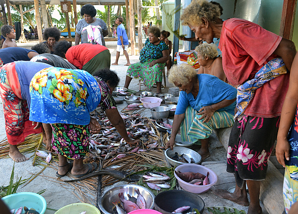 Bei einem Fischerfest auf dem Takuu Atoll verteilen die Frauen den Fang unter den Familien