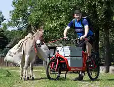 Unklar, wer da im Rennen die Nase vorn hätte: Lastenesel Moritz oder Lastenradler Ian