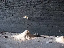 Landgänge – Klasse Franka Hörnschemeyer