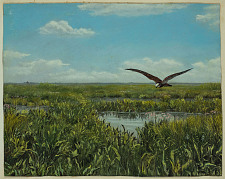 Landschaft und Vogelwelt  – aus dem Nachlass Richard Nagel