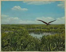 Landschaft und Vogelwelt  – aus dem Nachlass Richard Nagel