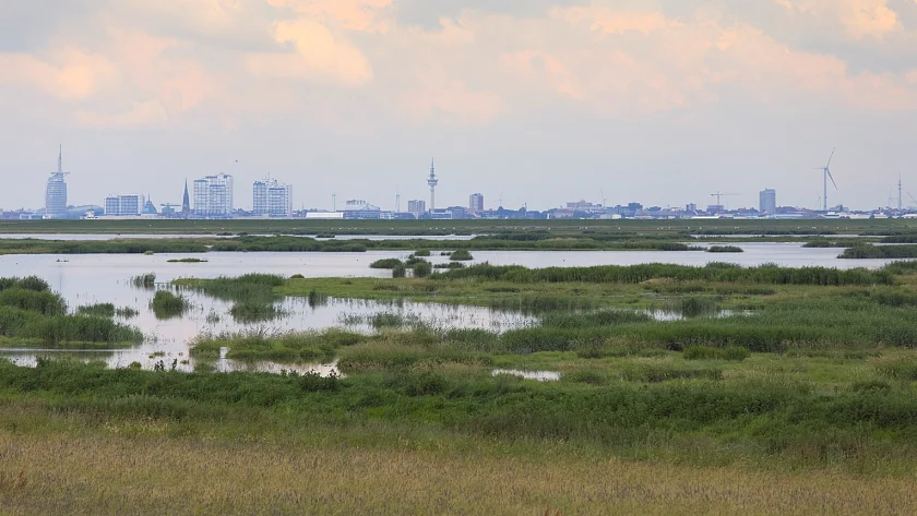 Die Luneplate / Foto: Nowara