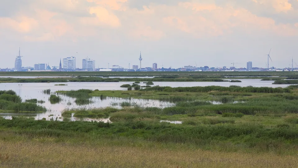 Die Luneplate / Foto: Nowara