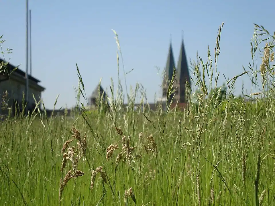 Blick auf Bremen - Dachterrasse im Haus des Reichs. Foto: Pressestelle Senatorin für Finanzen