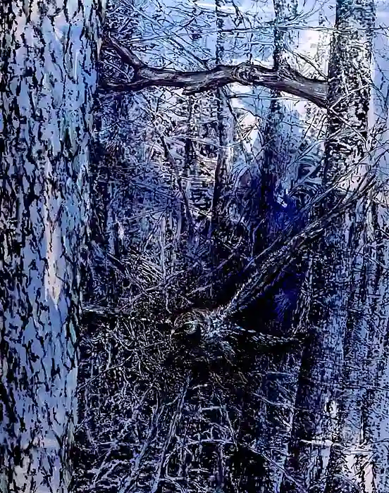 „Falkner“ von Sabine Wewer