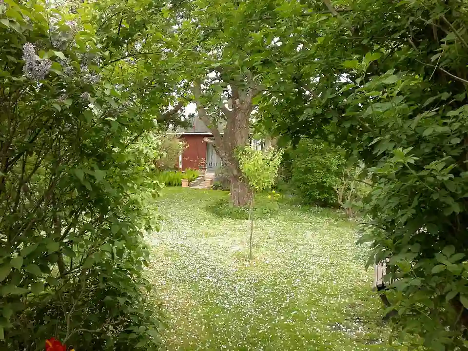 Kleine Paradiese: Kleingärten in Bremen.   