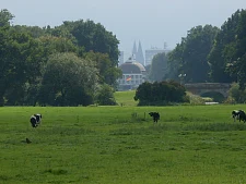 Parklandschaft mit Wiesen und am Horizont die Innenstadt - Der Bürgerpark ist ein starkes Stück Bremen. 
