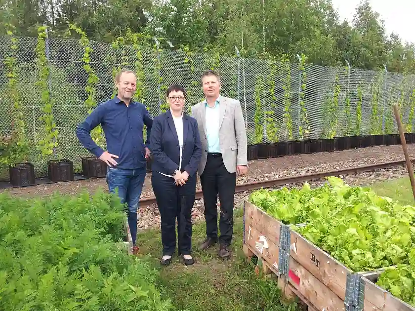 Senator Joachim Lohse (r.) zu Besuch auf der Gemüsewerft gemeinsam mit Michael Scheer, Geschäftsführer der GiB und Iris Geber, Abteilungsleiterin Unternehmensservice und Vertrieb, WFB