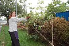 Finanzsenatorin Karoline Linnert lichtete das Brombeerdickicht 