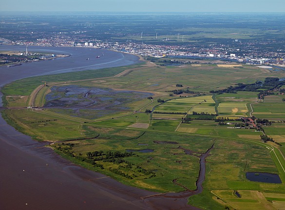 Blick auf die Luneplate: Wo früher intensiv Landwirtschaft betrieben wurde, ist ein Naturparadies entstanden. Die weitläufigen Flächen dienen dem ökologischen Ausgleich für die Eingriffe, die mit dem Hafenbau in Bremerhaven verbunden sind.