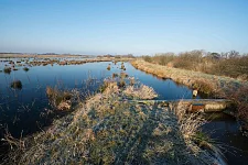 Überflutungspolder in Brokhuchting