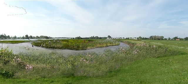 Auenrevitalisierung in Habenhausen Visualisierung Nordrand
