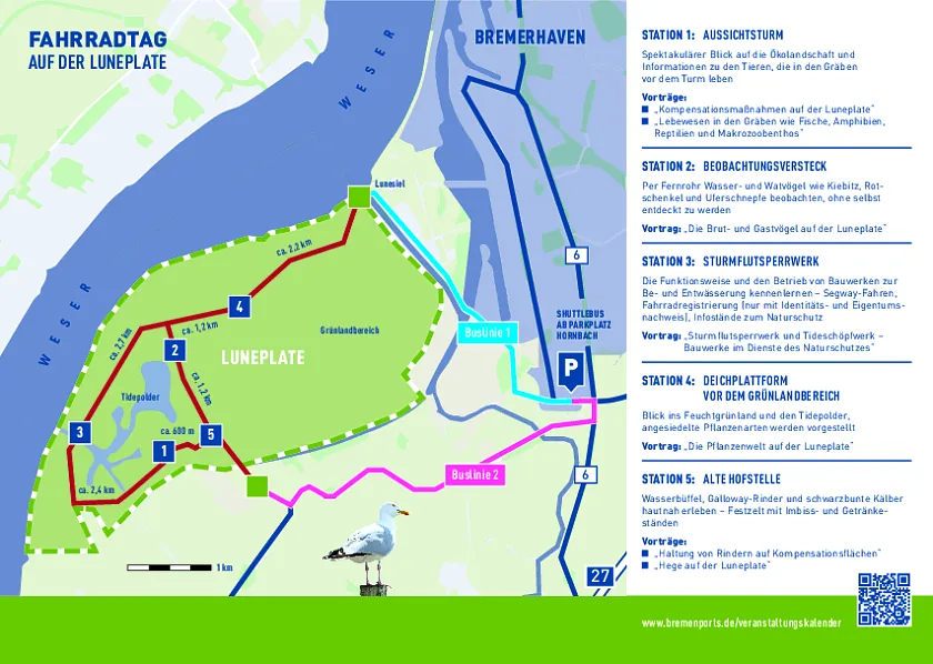 Am Sonntag, 20. August, veranstaltet die Hafengesellschaft bremenports einen „Fahrradtag“ auf der Bremerhavener Luneplate. Biologen, Landschaftsarchitekten und andere Experten erklären den Besuchern, was das größte Naturschutzgebiet des Landes Bremen zu bieten hat.
