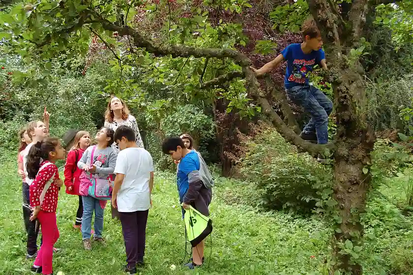 Wo hängen die besten Früchte? Apfelpflücken für den Rückfahrt-Proviant