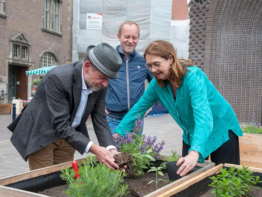Feinschliff für den „temporären Nutzgarten“: Hans Peter Schneider, Geschäftsführer der M3B GmbH/Großmarkt Bremen, Michael Scheer, Geschäftsführer der Gesellschaft für integrative Beschäftigung und Bürgermeisterin Karoline Linnert pflanzen die letzten Kräuter in die Kisten auf dem Marktplatz