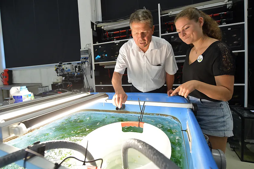 Blick hinter die Kulissen: FÖJlerin Monja Daub erklärt Senator Lohse ihr Aufgabengebiet bei der wissenschaftlich gestützten Fischaufzucht.