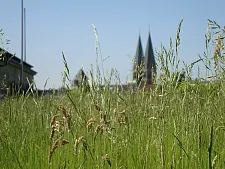 Sommerimpression von der Dachterrasse des Haus des Reichs