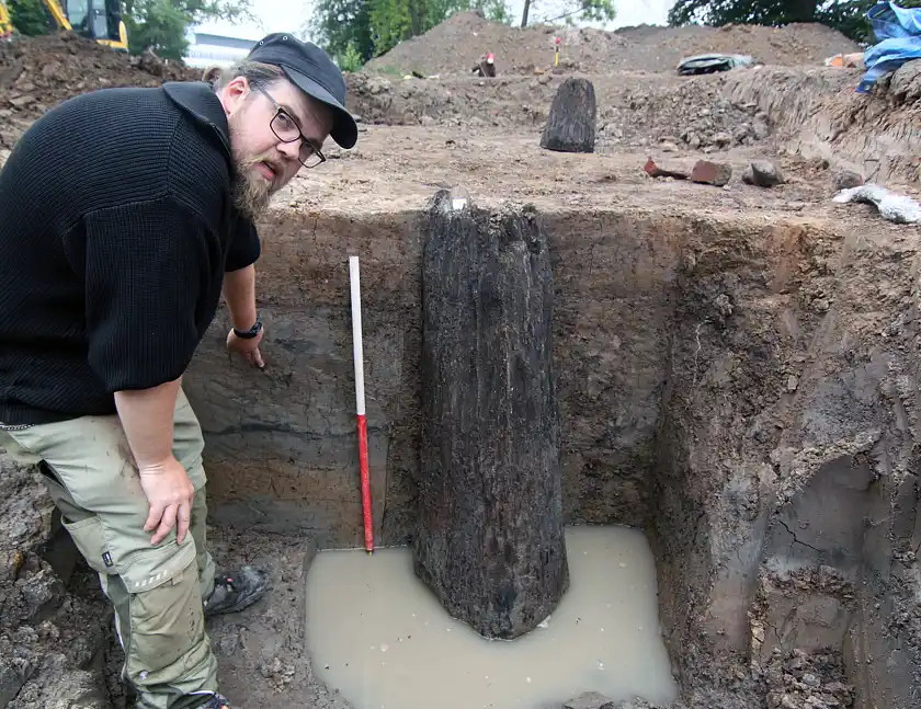 Ein Grabungstechniker mit einem Pfosten aus dem 13. Jahrhundert