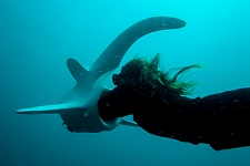 Signe Johannessen, The Beast & The eye of the Cyclone, 2015–2017: Hic Sunt Dracones (Here Be Dragons), 2016, Einkanalvideo, Videostill