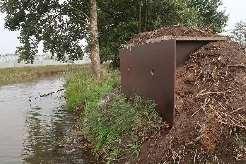 Eine neu errichtete Brutwand für den bunt schillernden Eisvogel