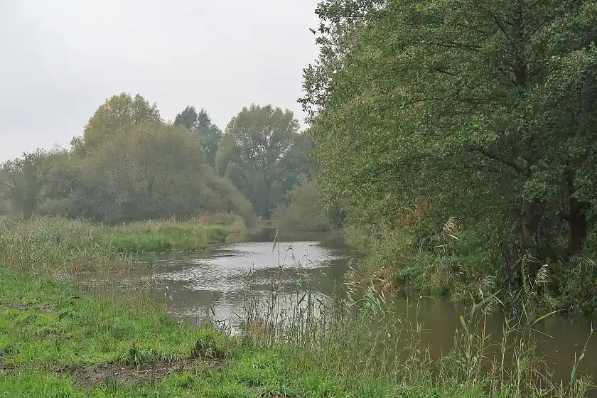 Renaturierung der Varreler Bäke – Nahezu verlandeter Seitenarm führt wieder Wasser  