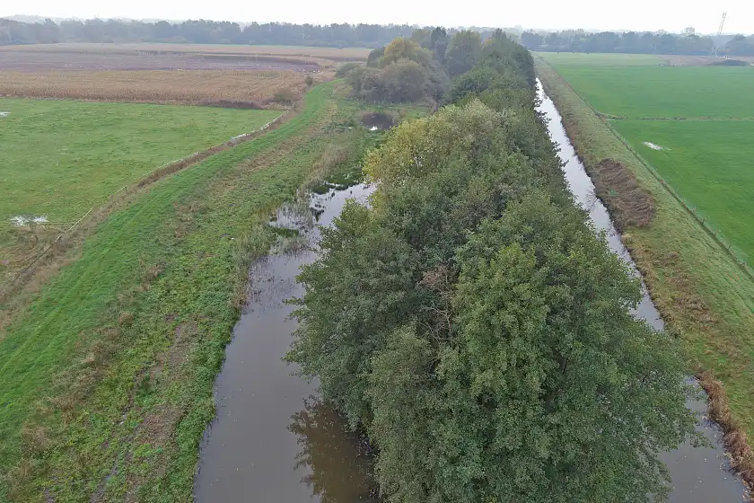 Blick über den neuen Gewässerlebensraum an der Varreler Bäke