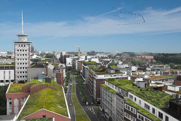 Normales Regenereignis - Grüne Dachlandschaften in Bremen. Status Quo und Visualisierung möglicher Dachbegrünung als Beispiel