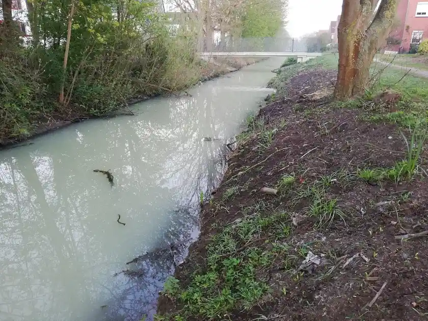 Gewässerverunreinigung in der Habenhauser Landwehr Foto: Pressereferat SKUMS