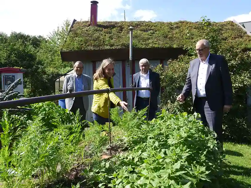 Katharina Rosenbaum, Geschäftsführerin Landesverband der Gartenfreunde Bremen e.V. zeigt Bürgermeister Andreas Bovenschulte(rechts), was in den Hochbeeten im Garten des FlorAtriums alles angebaut wird – mit im Bild der Finanzverwalter Alwin Klippel und der Vorstandsvorsitzende des Landesverbandes, Klaus Bode (von links)