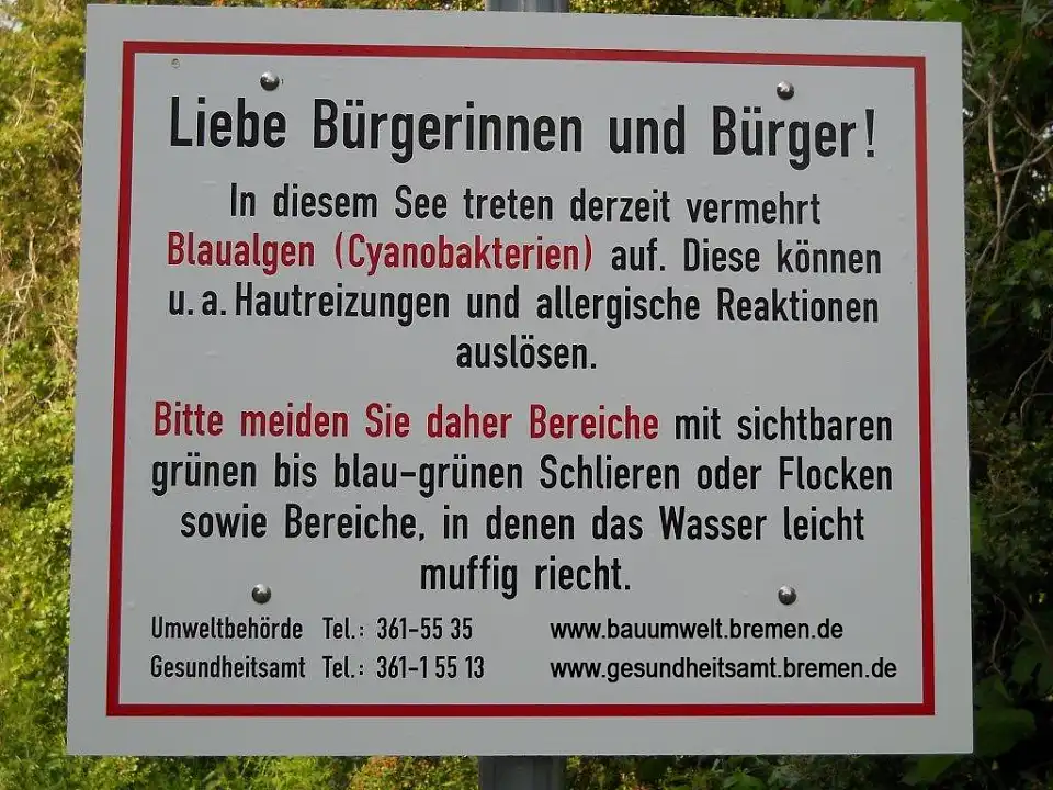 Mit solchen Warntafeln wird am Stadtwaldsee auf die Gefährdungen durch die Blaualgen hingewiesen. Foto: Umweltressort.