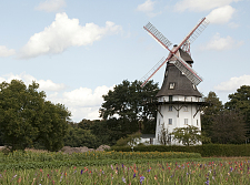 Die Oberneulander Mühle öffnet zum Deutschen Mühlentag die Türen. Foto: Focke-Museum, Sigrid Sternebeck 