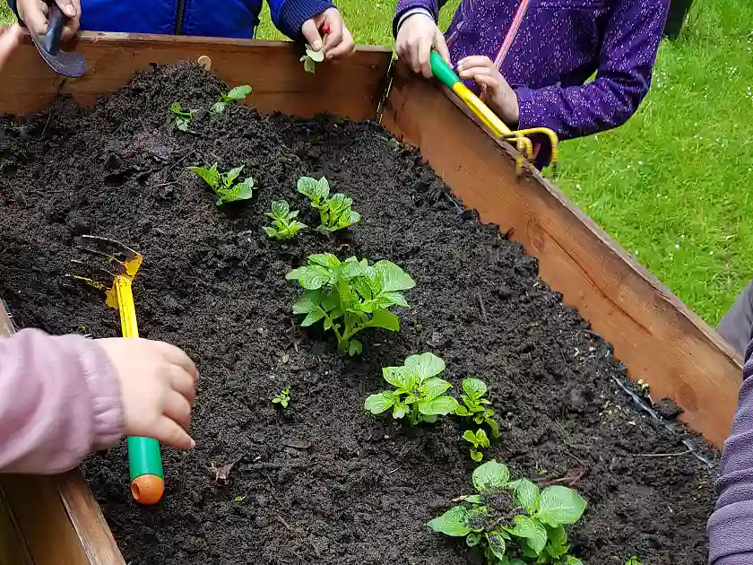 Das grüne Klassenzimmer der Grundschule Arbergen. Foto: SKB