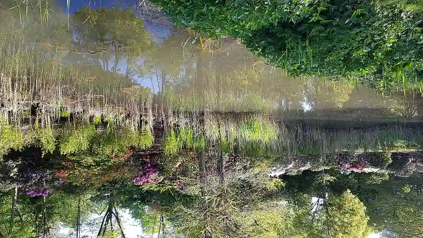 Auch im Rhododendronpark spielen Gewässer eine wichtige Rolle. Foto: Umweltressort