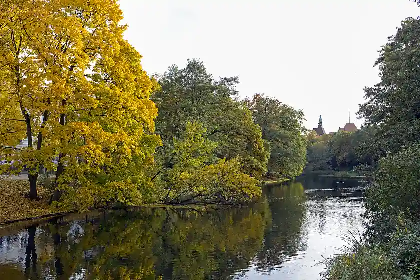 Die Wallanlagen sind ein wichtiges innerstädtisches Gewässersystem. Foto: Umweltressort