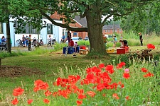 Mitmachaktion im Naherholungspark Bremer Grüner Westen. Foto SKUMS