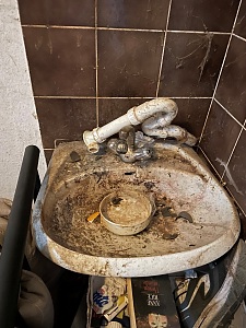 In dem Haus herrschten unzumutbare hygienische Zustände. Foto: Innenressort