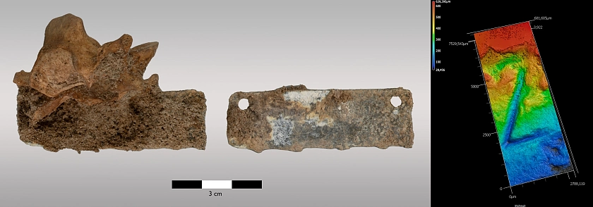 Eine Erkennungsmarke war am Halswirbel des Toten festgerostet. Bei der Freilegung der Marke konnte die mittlere Ziffer der Nummer nicht gelesen werden. Erst durch die Spezialuntersuchung mit einem Lasermikroskop konnte sie als 2 entziffert werden. Foto: Landesarchäologie Bremen