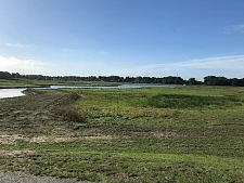 Renaturierungsfläche. Foto: ASV