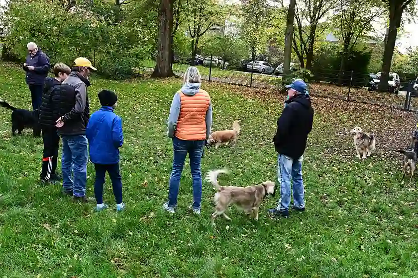 Der Erfolg lässt nicht lange auf sich warten: Hunde sowie ihre Halterinnen und Halter fühlen sich auf der Fläche wohl. Foto: Umweltressort