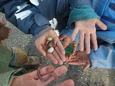 Spielend Klima- und Naturschutz erlernen. Foto: SKUMS