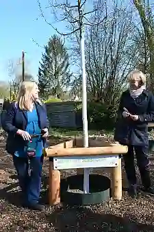 Senatorin Schaefer und UBB-Geschäftsführerin Hellwag bringen Schild Ich bin ein Stadtbaum an. Foto: SKUMS