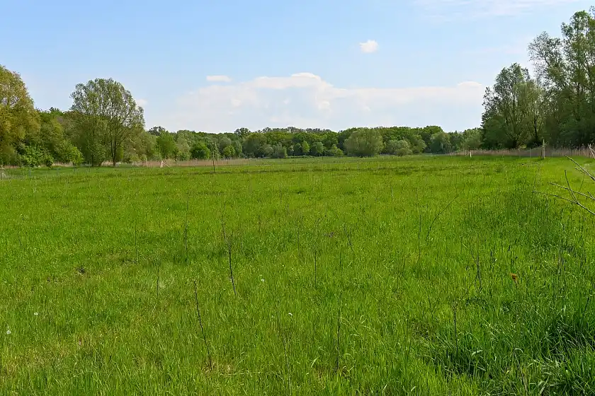 Hier entsteht Bremens erster Klimawald. Foto: Umweltressort