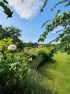 Zum Kennenlernen des Grünen Bremer Westens öffnen viele Vereine und Initiativen an diesem Tag ihre Pforten. Foto: Umweltressort