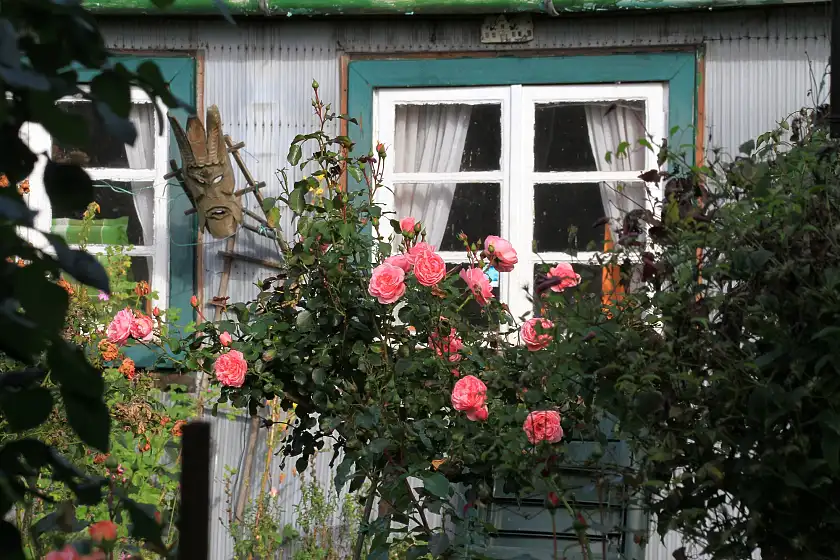 Buntes Angebot: Vom insektenfreundlichen Kleingarten über gemeinsames Kochen bis hin zu Workshops rund um das Thema Garten. Foto: Umweltressort