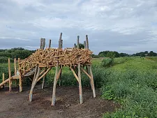 Gestalterisches Vorbild für die Plattform ist ein Vogelnest. Foto: Umweltressort
